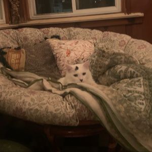 Meet your Posher, Lisa